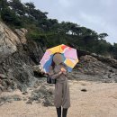 마일드패션 | 안다르 마일드무스 셋업 후기 💸