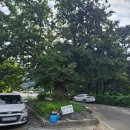 경주회식당 | [경주] 용산회식당, 여러번 다녀온 찐 후기