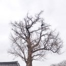 나주향교 이미지