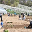 가오농장 이미지