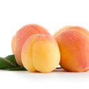 영어스크린 이미지