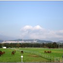 자연동산 이미지