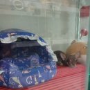 헬로 다키 이미지