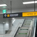 돈까스: 긴자료코 다산신도시점 후기