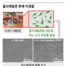 지석원 이미지