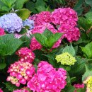 준이농장 이미지