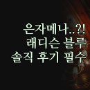 블루마운틴관광호텔 | 래디슨 블루 은자메나 솔직 후기 | 비즈니스 관광 완벽 호텔 | 객실 조식 수영장 시설 총정리