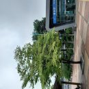 원터공원 이미지