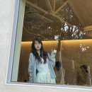 제주여행(파라나스호텔조식후기, 담소요, 절물자연휴양림, 교래퐁낭,카페마마롱, 도두동무지개해안도로)