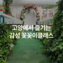 댄싱플라워교육원