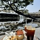 시크릿강릉 | 강릉 대형 카페 추천 엔드투앤드(End to and) 애견동반 가능 탁트인 소나무 정원과 디저트 내돈내산 후기