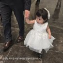 봄빛헤어 - 전주시 완산구 | 다시봄빛 왕리본핀 후기 :) 여아머리핀 하나로 완성되는 공주님 코디