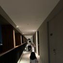 여행 1일차 더 파크 나인 호텔, 코모 매크로 폴리탄...시푸드 푸팟퐁커리 맛집 후기 ㅣ 아이들과 해외...