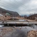 벌곡 멍발리 이미지