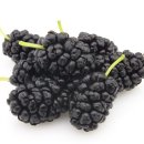 동의보감한약국 이미지