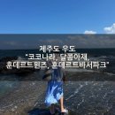 훈데르트바서 | [공지] [제주도 우도] 코코나라, 달콤아재, 훈데르트윈즈, 훈데르트바서파크, 파도소리해녀촌 솔직후기