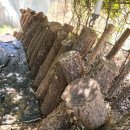 이종문 농장 이미지