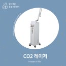 해온동물의료센터 | 일산 해온 동물의료센터 : 탄산가스 레이저(CO2 Laser)