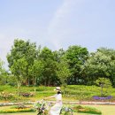 붕어섬3(휴광장) | 전북 임실 붕어섬 생태공원 후기