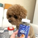 우리메디 | 메디퍼피 액티브