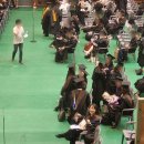 홍익체육관 | 색채대학원 졸업 후기, 석사 가운, 체육관, 학위수여식 (홍익대학교 산업미술대학원 색채융합디자인전공...