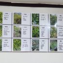 충무장어구이 이미지