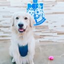 (주)케어프렌드 이미지