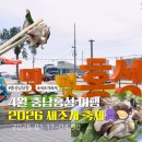 봄자리골천 | [충남 여행] 4월 홍성 남당항 새조개 축제 후기 기간, 및 가격정보 근처 가볼만한 곳 (+쭈꾸미)