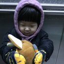소나무포차 이미지