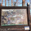 국민청소년수련원 | $내돈내산$ 거창국민여가캠핑장미리내숲 후기