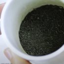 신지운 카카오 검색결과