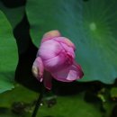 정촌면-3 이미지