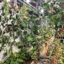 우성농원 이미지