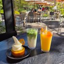 중문하은이네뽈살김밥 | 11월 제주도 가을여행 3일차 코스: 다가미김밥 / 오설록 / 수월봉 / 애월