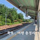 러블리모텔 | 동해 묵호 여행 총정리 기차 예매 꿀팁, 맛집Top3, 날씨, 코디, 포토존 추천