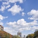 중용의마음 이미지