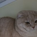 호텔보름 이미지