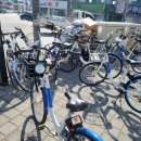 조치원_세종특별자치시교육청교육원입구 | 오봉산 맨발걷기 등산로 너어무 좋아 3번째 방문후기 - no택시, only 대중교통으로 가는 방법