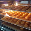 코아루 건강원 이미지