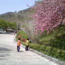 유곡천다목적캠핑장 이미지