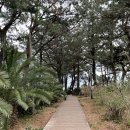 제항농장 이미지