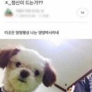 고성동물병원 이미지