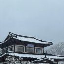 자원동 | 내돈내산) 눈 오는 날 삼척한옥카페 "오시" - 낭만한도초과