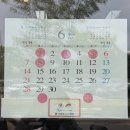 말고쥐고