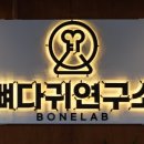 뼈다귀연구소 이미지
