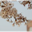 목련태권도 이미지