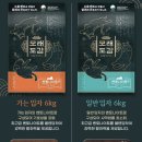 아로펫그루밍 | [체험단] 모래도감 카사벤토 일반입자 후기