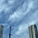 원풍슈퍼 | 대구 2박 3일 여행 후기(숙소-호텔 블로바이블로/합천 풀헤븐워터월드 낙산가든 지오네키친 원풍 참한닭)