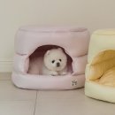 강아지집 이미지