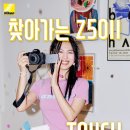 스텔라코리아 주식회사 이미지